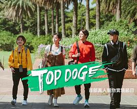 海角直播《TOP DOG》免费在线观看