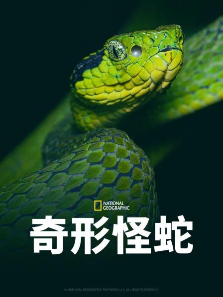 海角直播app《奇形怪蛇》免费在线观看